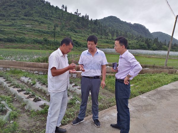 IMG_20190611_140100_副本.jpg IMG_20190611_140100_副本.jpg